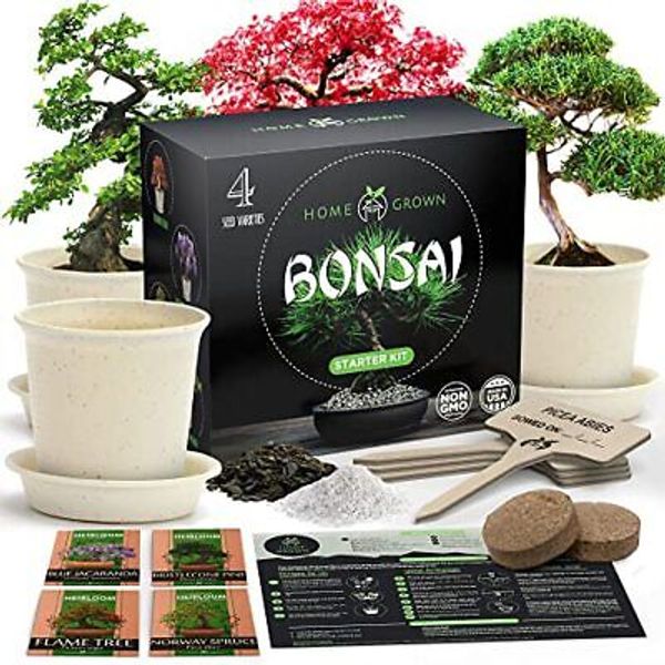 Bonsai Tree Kit Grow Your Own Bonsai Trees Starter Kit Gardening Plant Gift