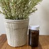 Organic Palm Kernel Oil, Tchotcho,Adin Ekuro,adin Dudu 100% Pure 2oz