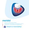 Meridol Parodon Expert Zahnpasta, 75 ml