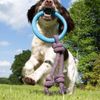 Beco Pets Hoop on Rope, Small, Pink