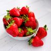 Eversweet Everbearing 10 Live Strawberry Plants, NON GMO,