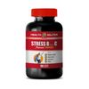 immune support vitamin c - STRESS B WITH C - antioxidant boost complex 1 BOTTLE