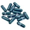 Mind Wellness 4:1 Premium Extract 500mg [60 Vegetarian/Hal