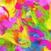 Robelli Bright Multicolour Feathers Arts & Craft Easter Decoration