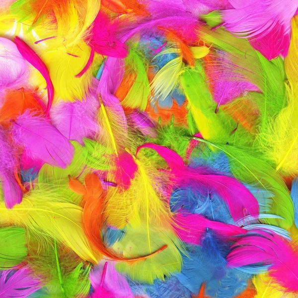 Robelli Bright Multicolour Feathers Arts & Craft Easter Decoration