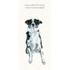 Border Collie Greeting Card – IQ