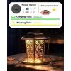 Outdoor Solar Bird Feeder - Weather Resistant with Automatic Dispensing