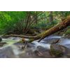 KANI ND Filter Variable Variable Dimming Filter HT PRO+MC ND64-1000 (82mm)