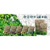 Probiotics Complex Bio Culture 40 Billion CFU 60 veg capsules Support digestive