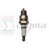 Spark Plug For Harbor Freight Pacific HydroStar 79CC 69747 99CC 68328 Water Pump
