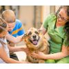 Anderson's Freeze-Dried Pet Treats (1oz)