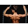 Tribulus Terrestris Extract 1000mg Bodybuilding Strength 2 Bott 180 Caps