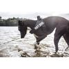 Julius-K9, IDC harness, size XL/2, black