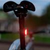 Frog Rear Bike Light (Tequila Sunrise)