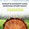 Copper Tree Stump Killer - 50xV.Large 65mm Copper Nails