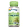 100 Count Bladderwrack Seaweed Herbal Supplement for Thyroid Support