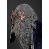 Bristol Novelty Grey Wizard Merlin Wig and Beard Set