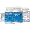 3 Celulas Madres BIOCORD  Madre Cell Plus REGENEX 180 caps