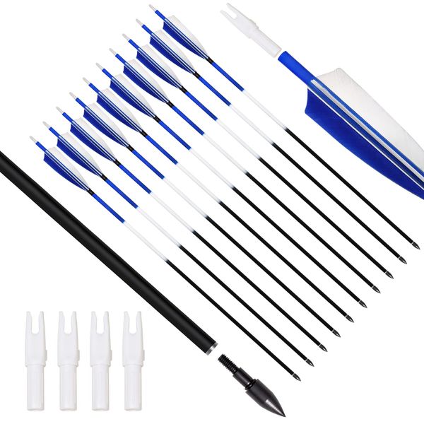 ARCHERY SHARLY 31 inch Carbon Arrows Practice Hunting Arrow Feather Fletched Arrows for Recurve & Compound Bow,Traditional Bows (Blue White 12-Pack)