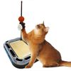 Pets First Orlando Magic Basketball Cat Scratcher Toy