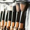 Makeup Brush Set with Leopard-Print Pouch (12-Piece)