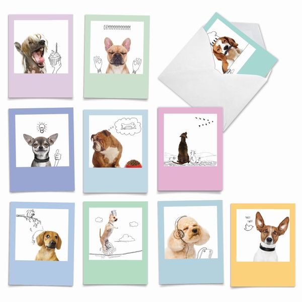 The Best Card Company - 10 Blank Dog Cards Assorted (4 x 5.12 Inch) - Adorable Boxed Animal Note Cards for All Occasions - Dogs & Doodles M6582OCB