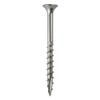 2" Ss Star Deck Screw