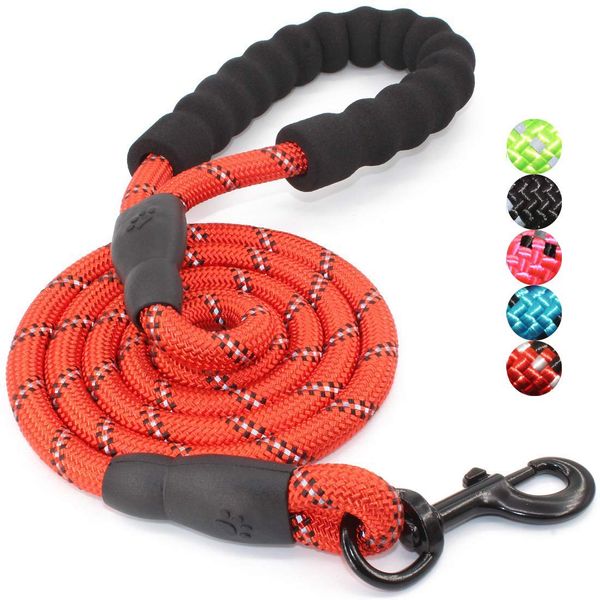 Alipet Durable Dog Leash for Medium and Large Dogs, 5.1ft (155cm) with Easy-Grip Sponge Handle and Highly Visible Material