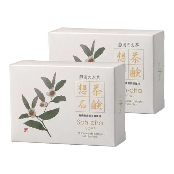 Soap, 3.5 oz (100 g) x 2 pcs