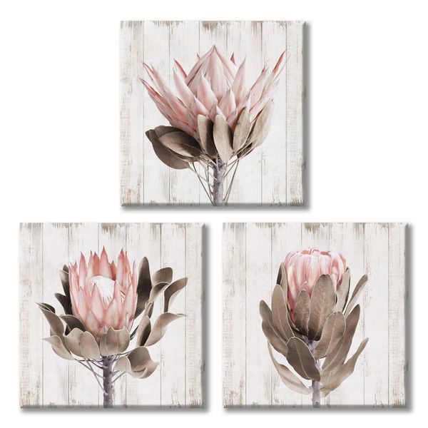 UTOP-art Pink Floral Picture Wall Art: Protea Flowers Artwork Print on Wooden Textured Background Canvas Art for Bathroom (16'' x 16'' x 3 Panels)