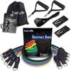 Resistance Bands Set with Handles - Adjustable 10-110 lbs, Lightweight