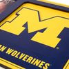 YouTheFan NCAA Michigan Wolverines 3D Logo Picture Frame