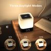 Aisuo Night Light-5 in 1 Bedside Lamp with Bluetooth Speaker, 12/24H Digital ...