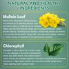 Mullein Leaf Liquid Drops,Mullein Drops, Mullein Leaf Extract Drops,Mullein Herbal Supplements Drops for Fast Absorption