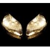WSLHFEO Floesser #1151 Bulb 12 V, 25 W, P15s Base, T-6 Shape c