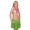Beistle Kitchen None Wearables, Green, Mini