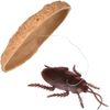 Novelty Cookie Surprise Classic Prank Toy