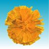 horoguramumekkite-pu Gold
