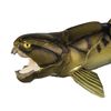 Toob Dunkleosteus