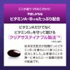 ロートV5 30粒 4P+セルフチェックシート付