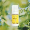 L'OCCITANE - Deodorant Roller Verbena Citrus Fruits - 50 ml - Made in France