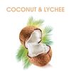Alberto Balsam Shampoo, Coconut and Lychee, 350ml