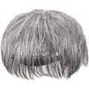 Priscilla GB-22-TGH Men's 5-Minute Wig, Layer Short