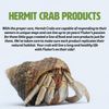 Fluker's Soaking Salt for Hermit Crabs, 2.4 oz