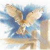 Heritage FFOF483-E Counted Cross Stitch Kit Owl in Flight (L) 34x34cm
