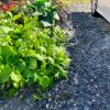 1 bag of roadbed material