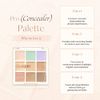 "Official" Daisek Dasique Pro Concealer Palette Pro Concealer Palette / Concealer Palette (#2 Medium Cover)