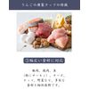KIWAMIYA Tei Smoked Chip (Apple)
