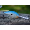 Rapala Ike's Custom Ink Crankbait (Smash, DT16 - 2-3/4")