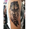 Wolf Tattoos Fake Arm 5 Sheets Set